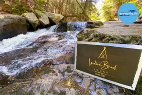 Indian Brook Lodge|11 Beds|Hot Tub|Pet Friendly| - Image 3