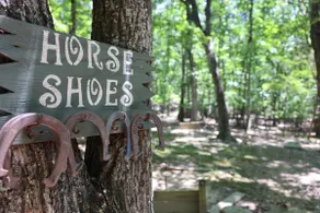2 Cabins on 3 Acres | Hot Tubs & Trails - Image 3