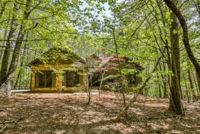 Adventures at Big Canoe | Trails, Golf, Lake, Pool - Image 3