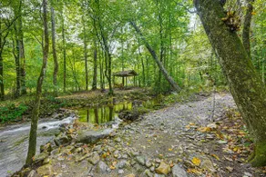 28 Acres: Home w/ Barn & Fire Pit Near Franklin! - Image 2