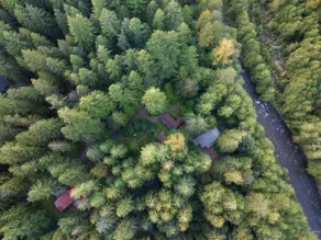Whispering Pines: Hot Tub Retreat w Sports Court - Image 5