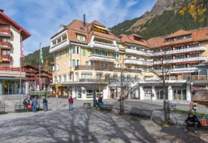 Apartment Jungfrauview - Image 5