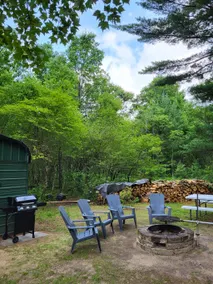 Green Cabin in the Woods - Image 4