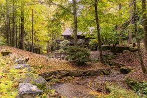 Blackberry Creek Cabin - Image 3