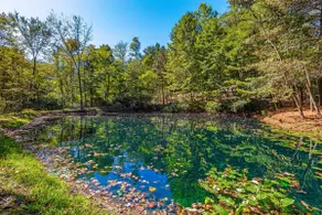Private Pond · Hot Tub · Game Room · Hocking Hills - Image 2