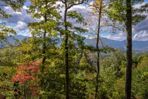 Summit View Lodge - Image 5