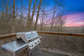 Hot tub/firepit/fireplace/grill/pool table/lake/EV - Image 4