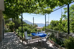 Apartments Olive - Image 4