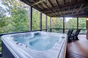 Foxhollow - Minutes to Blue Ridge, hot tub, pets - Image 4