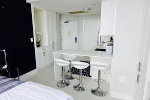 Coconut Grove 21st Floor Private Studio-Parking & WIFI included - Image 4