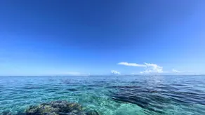 TAHITI - Mango Lodge Hotu - Image 2