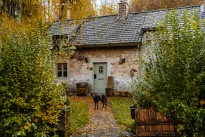 La Petite Foret 17th Cent Cottage near Durbuy - Image 2