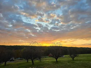 The Jefferson Guest House, Spacious, Special Views - Image 5