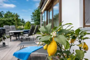Köberich Vacation Rental - Image 3