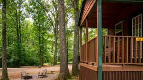 Studio Deluxe Cabin Near Pond | Sleeps 4 - Image 3