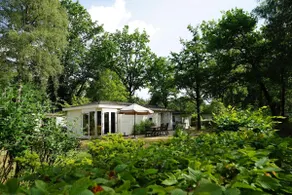 Exclusive 6 | EuroParcs Hooge Veluwe - Image 2