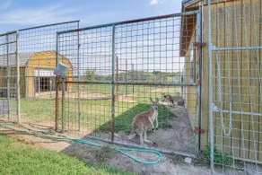 Farm Stay in Illinois with Private Fishing Pond - Image 2