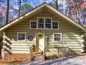 Romantic Cabin Near Helen: Hot Tub + Fireplace - Image 3