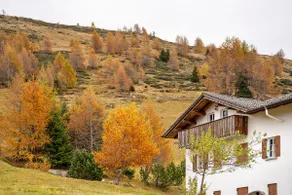 Apartamento 'La Baita Verde' con vistas a la montaña - Image 2