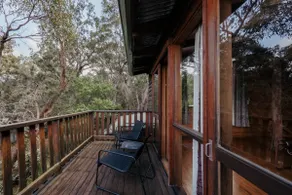 Bimbi Forest Eco Lodge - Denmark - Image 5