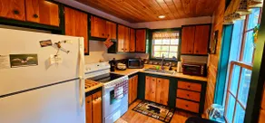 Cozy Moose Cabin*ATV Access*A/C*Washer/Dryer - Image 2