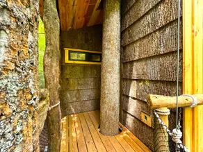 Parke's Stand- Treehouse - Image 3
