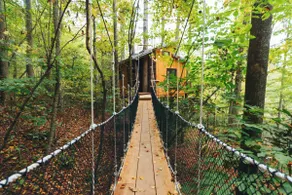 Parke's Stand- Treehouse - Image 2