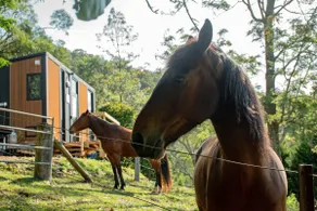 Guanaba Farm by Tiny Away - Image 5