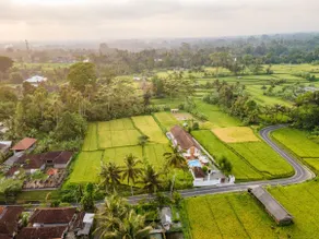 Aura Apartments w/Pool & Rice Field View | Ubud - Image 5