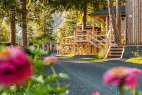 Edelweiss 2 | EuroParcs Pressegger See - Image 2