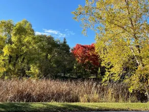 Boji Cottage off West Lake Okoboji - Image 5