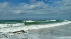 Crystal Palms Beach Resort  - Image 3