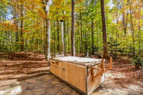 Wellness Cabin W/ Hot tub, Sauna, Cold Plunge. - Image 3