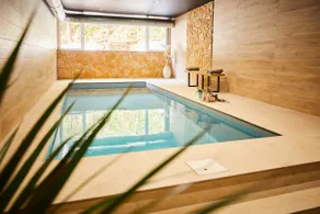 Chalet for 32 people · Swimming pool, spa & cinema · Vosges - Image 2