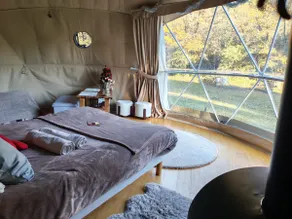 The Horse Cabin - Image 4