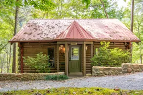 Pet-friendly 1BD Cabin w/ Hot Tub! Fire Pit + BBQ! - Image 5