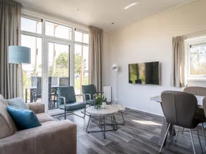 Modern Luxury Chalet With Dishwasher, two Bathrooms on Texel - Image 2