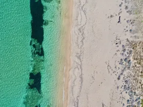 Villa conviviale et familiale avec piscine privée, barbecue et jardin | Plage à proximité - Image 5