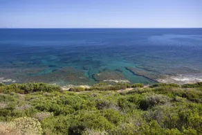Villa Seaside Sardegna - Image 3