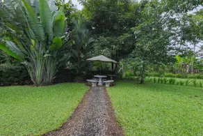 La Fortuna Jungle Hideaway • Tucans & Local Charm - Image 2