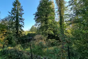 Designer House in the Forest · Chantilly · 15 min from CDG - Image 2