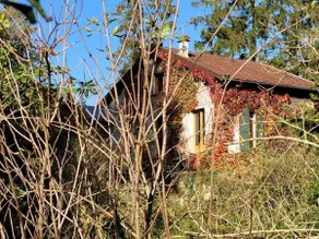 Designer House in the Forest · Chantilly · 15 min from CDG - Image 4