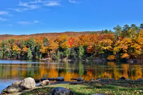 Lakeside Lodge at Fern Lake - 3BR, 1BA Waterfront with Dock - Image 3