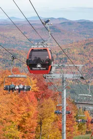 ”It's a Beaut Clark” Mountainside Getaway - Image 4
