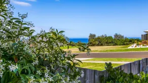 Waves and Blossoms - Spacious Coastal Escape - Image 5