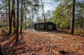 Modern Cabin in the Woods · Fireplace · Egg Harbor - Image 3