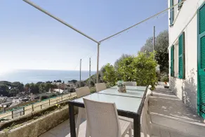 Gli Ulivi Di Bogliasco - Olive Trees 3 - Image 3