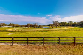 7 Mi to Paynes Prairie Preserve! Rural Retreat - Image 2