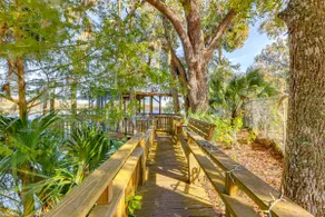 Suwannee River Escape: 6 Mi to Manatee Springs - Image 4