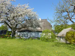 In the vacation garden - vacation apartment ground floor - Image 5